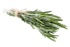 Fresh Rosemary min. 15g