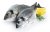 Gilthead seabream 400-600g