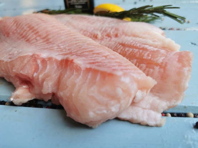 African catfish fillet without skin 200-400g