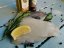Солнечник обыкновенный, филе с кожей 120-160 гр - Хотите рыбу в вакуумной упаковке?: да