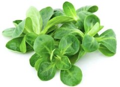 Fresh lamb lettuce 125g unwashed