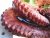 Squids, octopus, ...