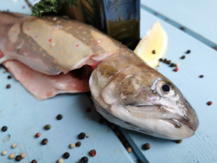 Arctic char 1000g+ - Do you want to remove the scales?: no