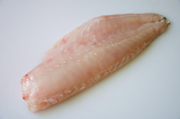 Parrot fish fillet with skin
