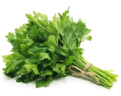 Petržel hladkolistá svazek min.30g