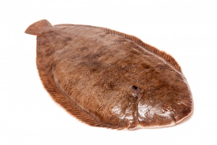 Dover Sole 500-600g - Do you want to gut the fish?: yes, Do you want to remove the skin from the fish ??: no, Do you want to vacuum the fish?: yes