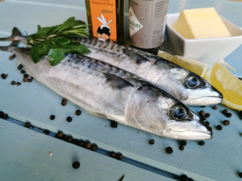 Fresh atlantic mackerel 200-500g