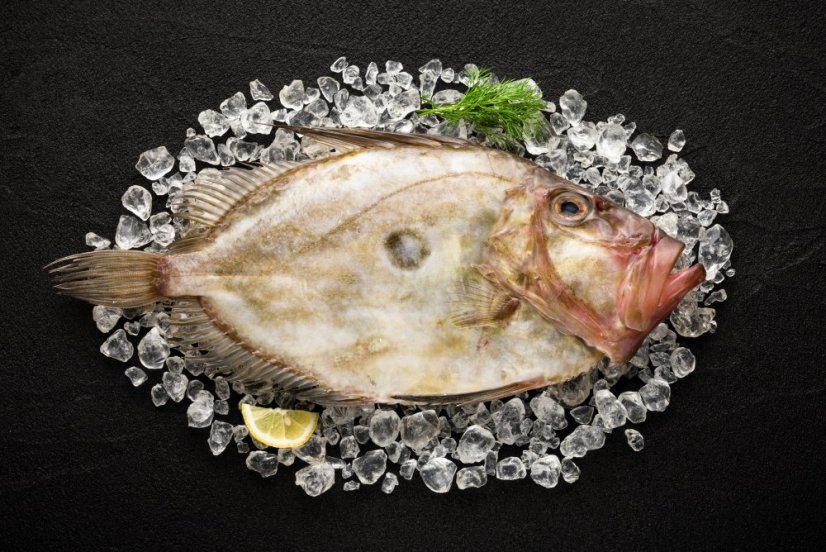 John Dory 1-2kg - Do you want to gut the fish?: no, Do you want to remove the scales?: yes