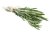 Fresh Rosemary min. 15g
